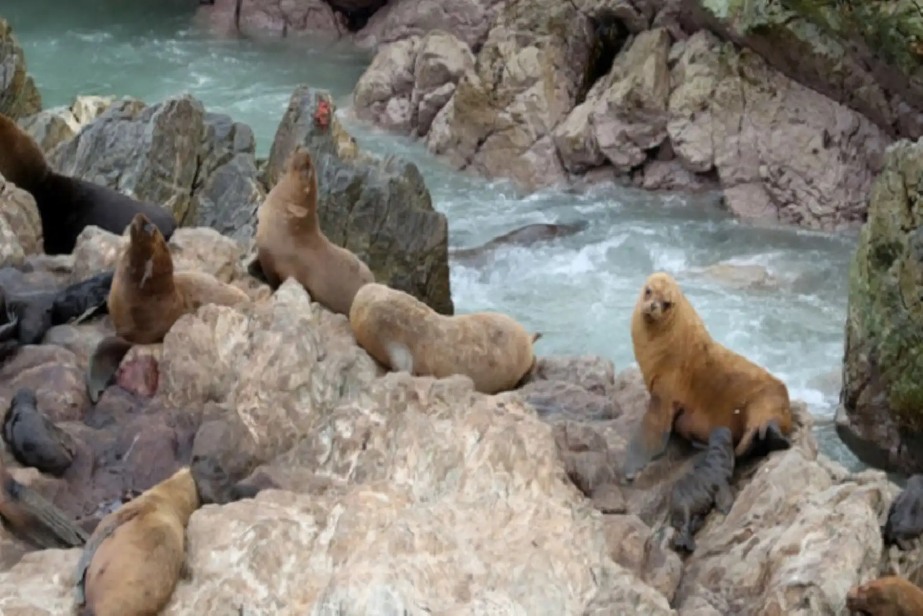 Se convocará a todos los actores involucrados, a fin de adoptar medidas rápidas para evitar la pérdida de nuestros recursos naturales debido a los cambios de uso de tierra y el mar, la contaminación, las actividades ilegales, entre otros.
