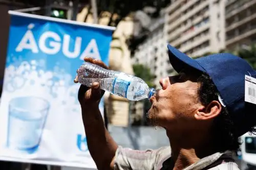 El mundo ha registrado este año récords de altas temperaturas. EFE