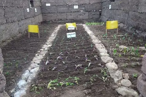 La segunda semana de octubre se prevé concluir la entrega de estos módulos de protección de cultivos, dirigidos a 500 beneficiarios de la agricultura familiar. Foto: ANDINA/Agro Rural