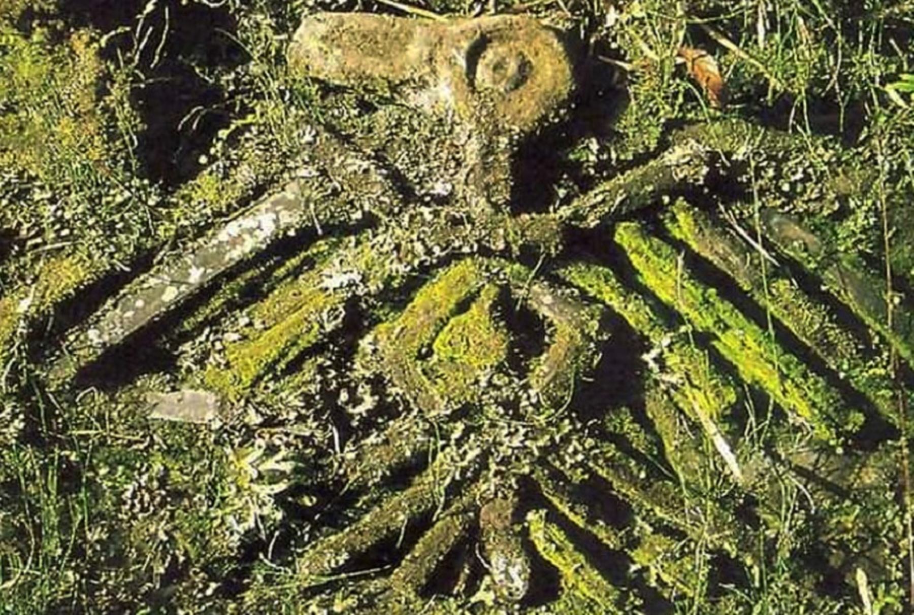 En los bosques húmedos y nubosos del Parque Nacional Río Abiseo, en la región San Martín, está uno de los más enigmáticos e impresionantes complejos arqueológicos descubiertos en la ceja de selva peruana: el Gran Pajatén, llamada también la “Ciudad perdida de los chachapoya”.