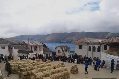 Midagri distribuye alimento suplementario para ganado en Apurímac, Cusco y Huancavelica