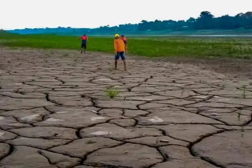 Por escasez de lluvias, la situación es preocupante en diversas localidades de Brasil. Foto: Defensa Civil de Brasil/X.