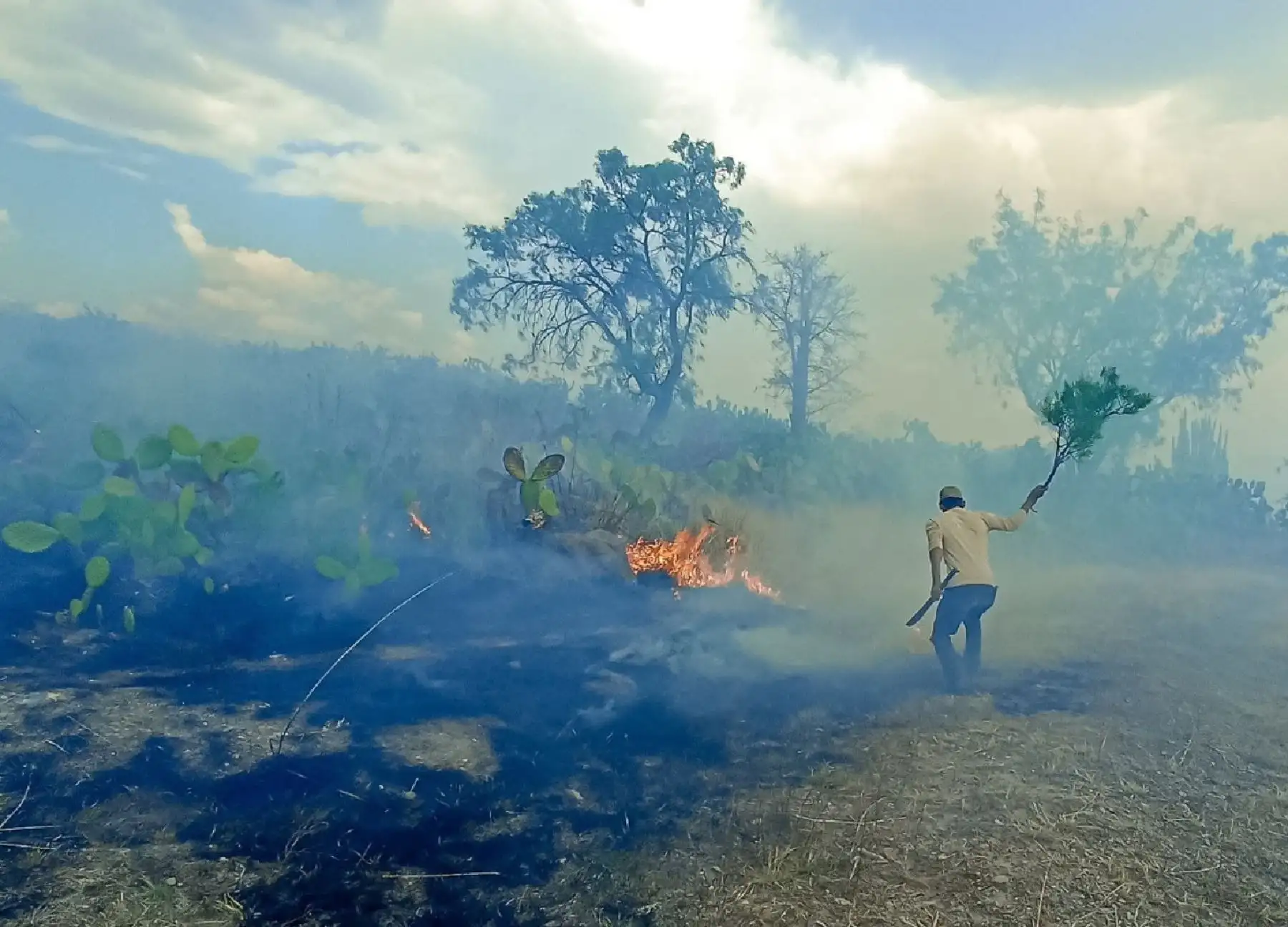 Brigadistas y pobladores llegaron a controlar a tiempo el incendio forestal que se registró cerca del complejo arqueológico Wari, en Ayacucho.