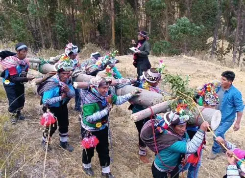 Viga Huantuy es una costumbre ancestral que practican los pueblos originarios de Huancavelica, como las comunidades del distrito de Acoria. Participa toda la población al ritmo de la música tradicional. Foto: Flor Hidalgo