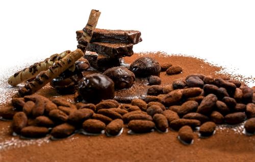Perú, centro de origen y productor mundial de cacao orgánico