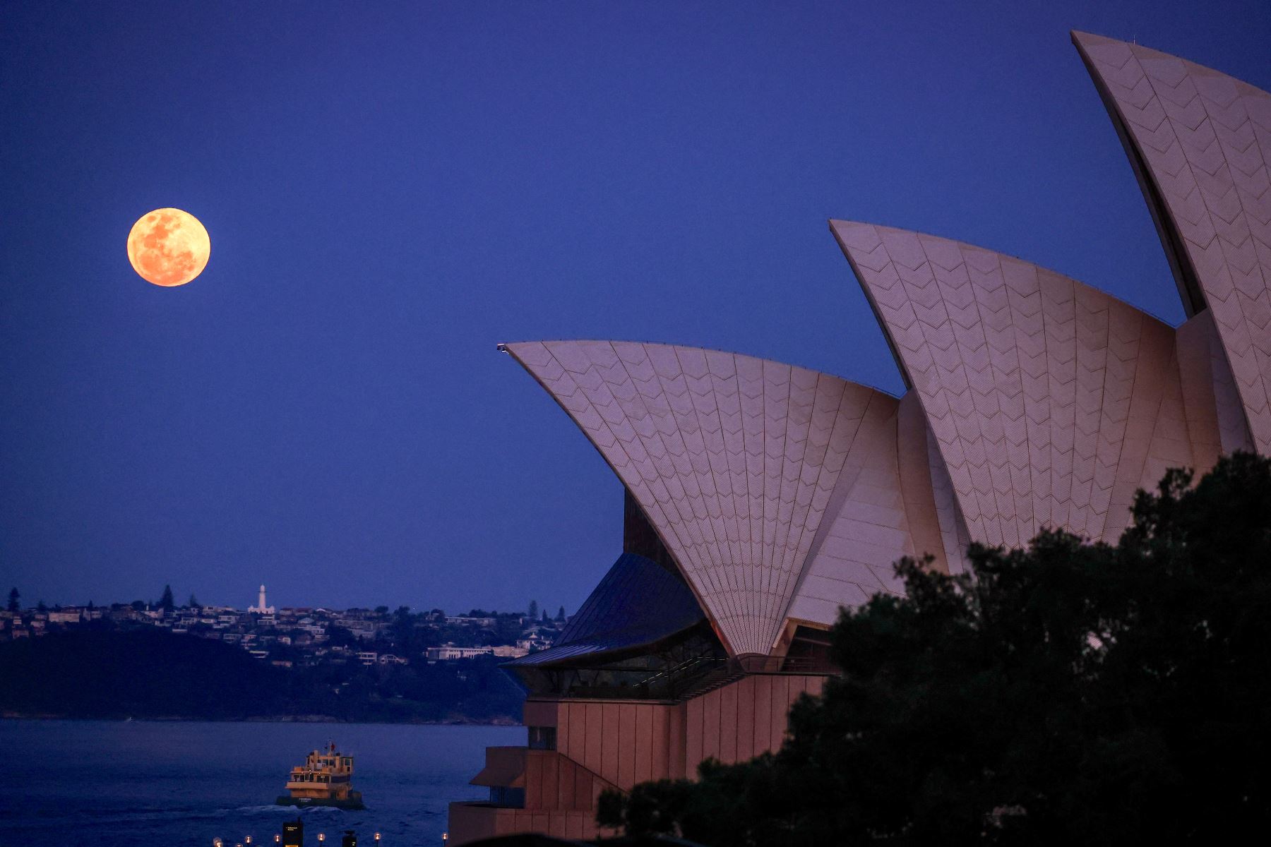 La luna llena, una superluna también conocida como "Luna de cosecha", se eleva sobre el faro Macquarie y la Ópera de Sydney en Sydney el 29 de septiembre de 2023.
Foto:AFP