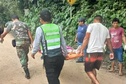 Una persona fallecida y otras dos heridas dejó el despiste y caída hacia un abismo de una camioneta ocurrido esta madrugada en el sector de Pichanaz, a la altura del kilómetro 106+400 de la red vial Villa Rica-Puerto Bermúdez, en la región Pasco.