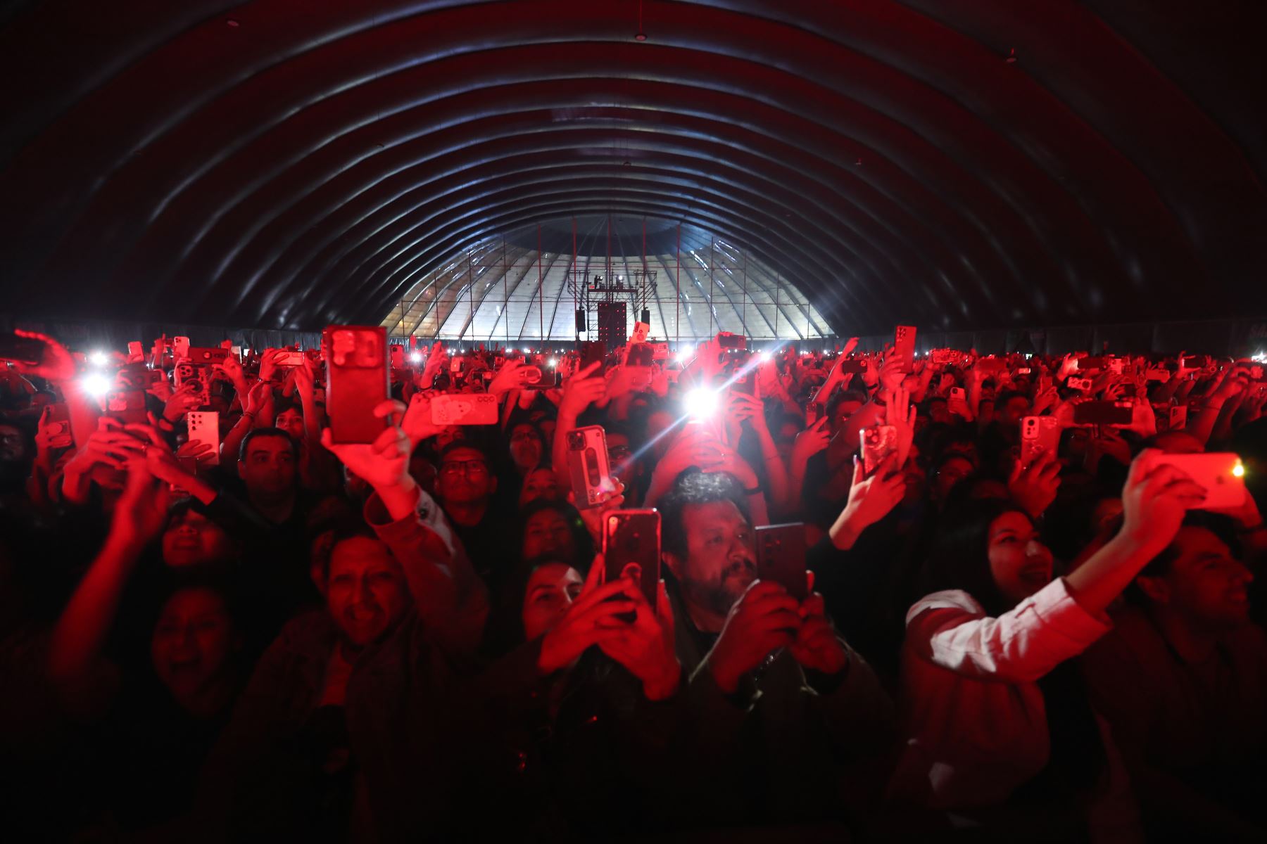 Fito Páez deslumbra en gran concierto  Limeño. El cantante argentino presenta  esperado show en Lima  como parte de su gira “El amor 30 años después del amor”.
Foto: ANDINA/Ricardo Cuba