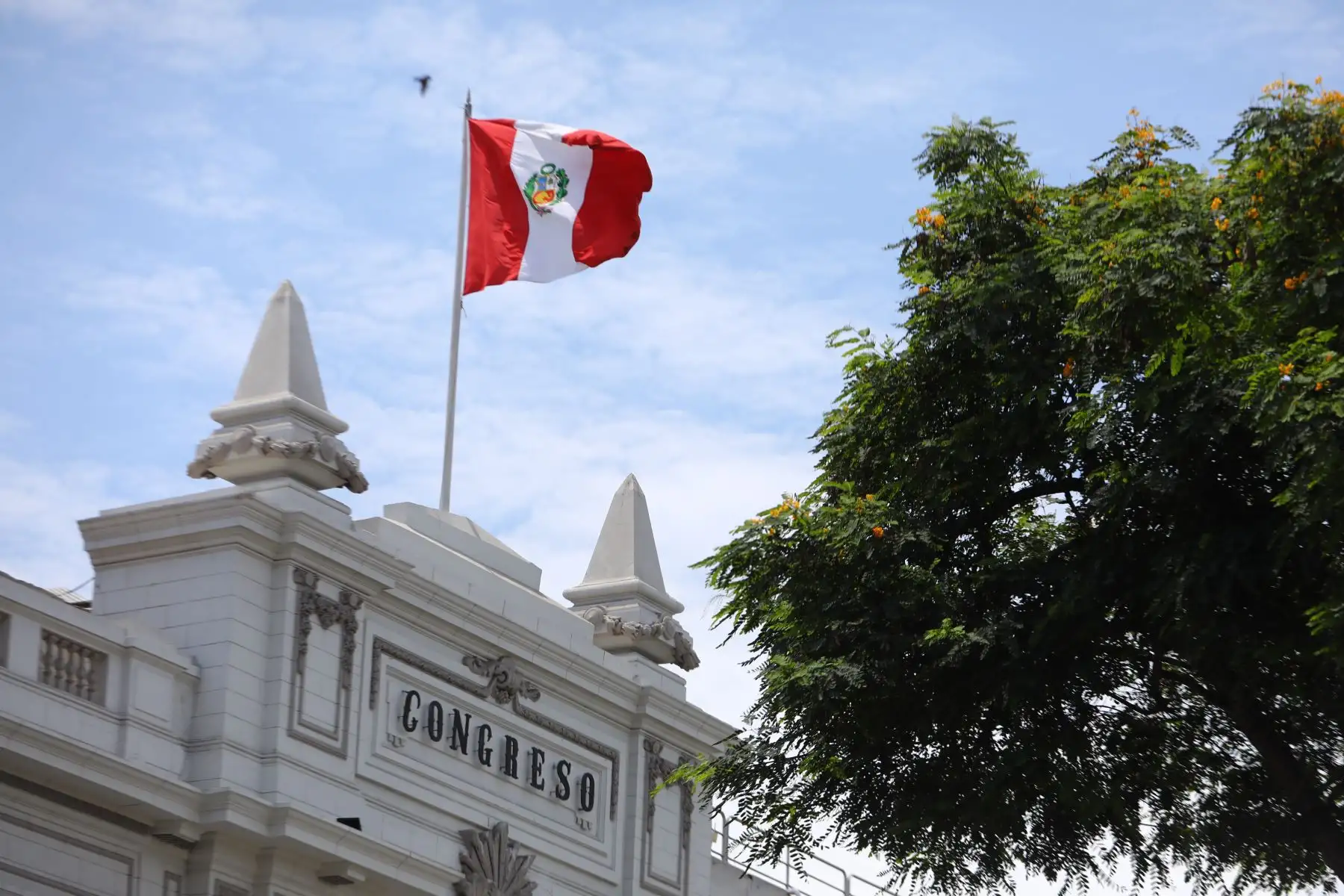 ANDINA/Difusión