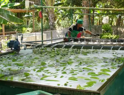 El Ministerio de la Producción pondrá en marcha en los próximos tres años una ambiciosa estrategia para impulsar la innovación y el desarrollo productivo en cinco regiones del país. ANDINA/Difusión