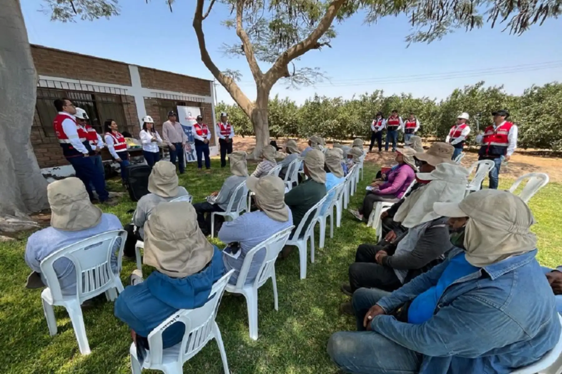 Sunafil brinda orientaciones a trabajadores de agroexportadoras en Ica. Foto: cortesía.
