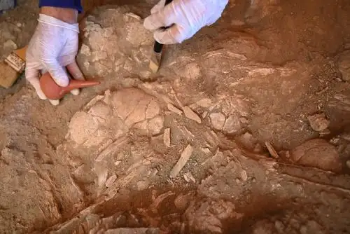 El equipo de arqueólogos liderados por Quirino Olivera acaba de encontrar en el sitio arqueológico Montegrande al menos cinco cráneos de personas adultas sueltos cerca del templo cuya arquitectura tiene forma de espiral hecha de piedras.