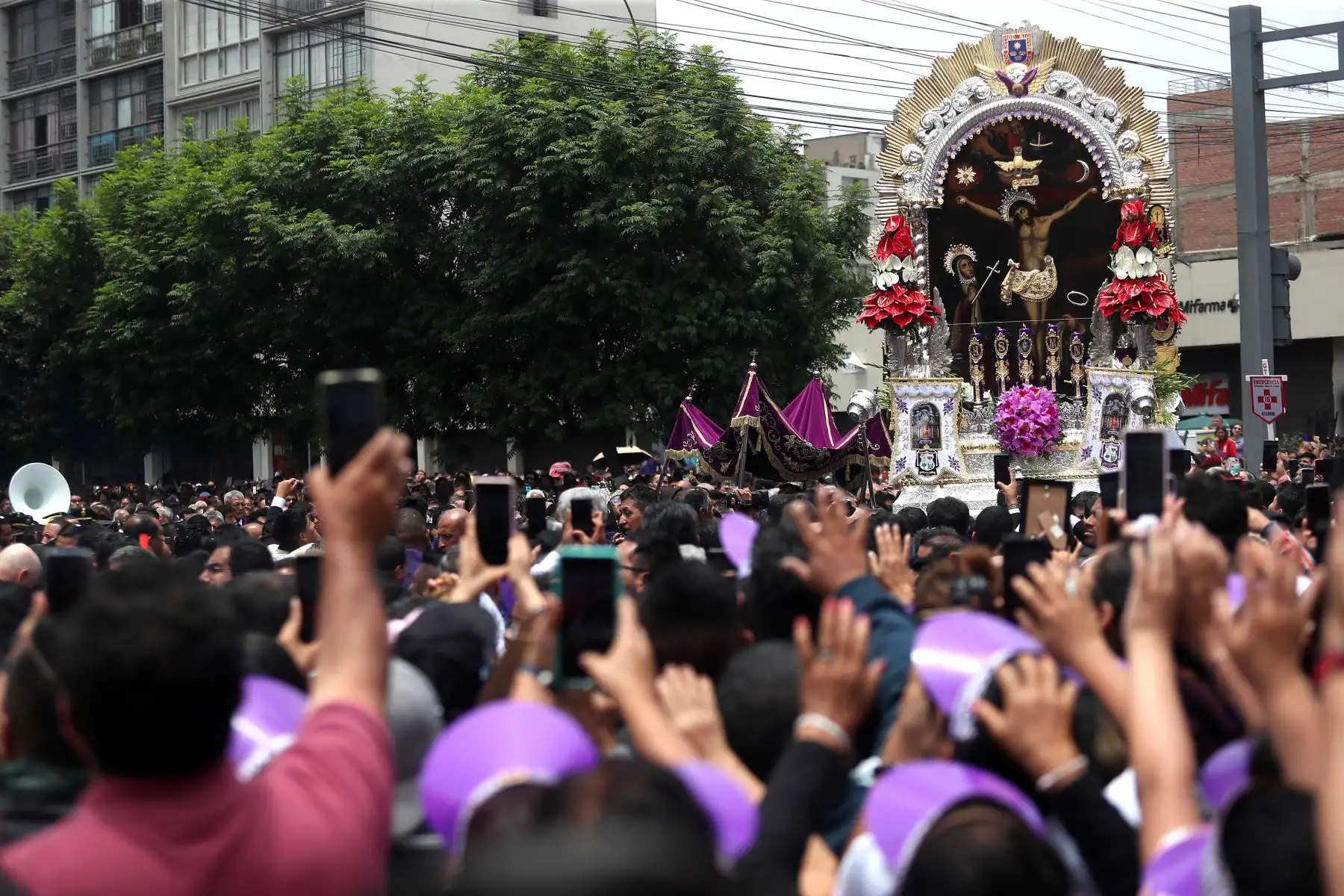 Entre una lluvia de pétalos de flores y emocionantes cantos a viva voz, la venerada imagen del Señor de los Milagros inició su primer recorrido procesional correspondiente al año 2023
Foto: ANDINA/Ricardo Cuba