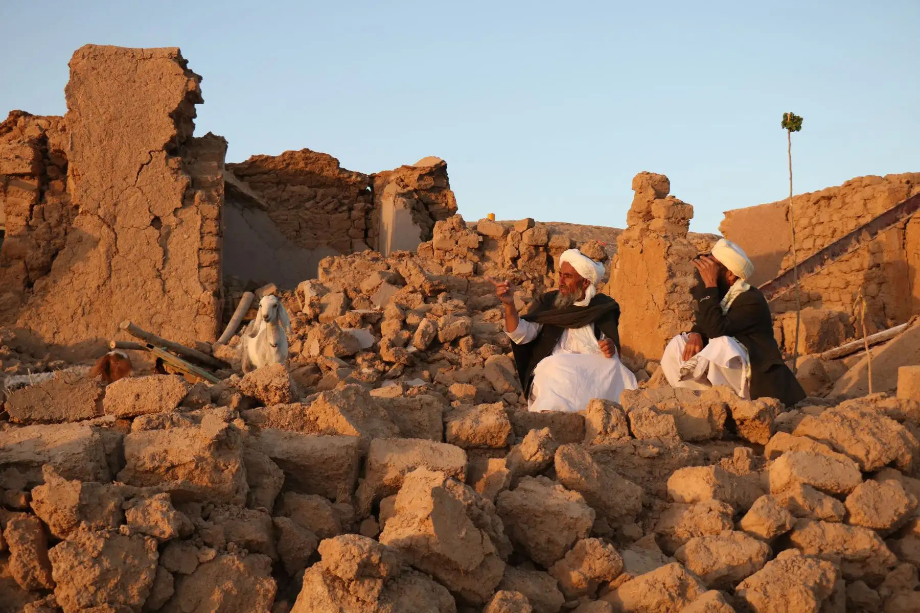 Residentes afganos sentados en una casa dañada tras el terremoto en la aldea de Sarbuland en Zendeh Jan, distrito de la provincia de Herat.
Foto: AFP