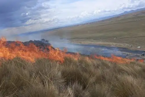 Incendio forestal en Huancayo. Cortesía