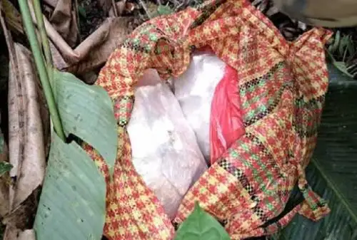 La Fiscalía Especializada en Tráfico Ilícito de Drogas de Tingo María logró el hallazgo y decomiso de 323 kilogramos de clorhidrato de cocaína, así como la incineración de un laboratorio clandestino que se habría dedicado a la elaboración de sustancias ilícitas en el caserío Chipaquillo, ubicado en la provincia de Huamalíes del departamento de Huánuco.