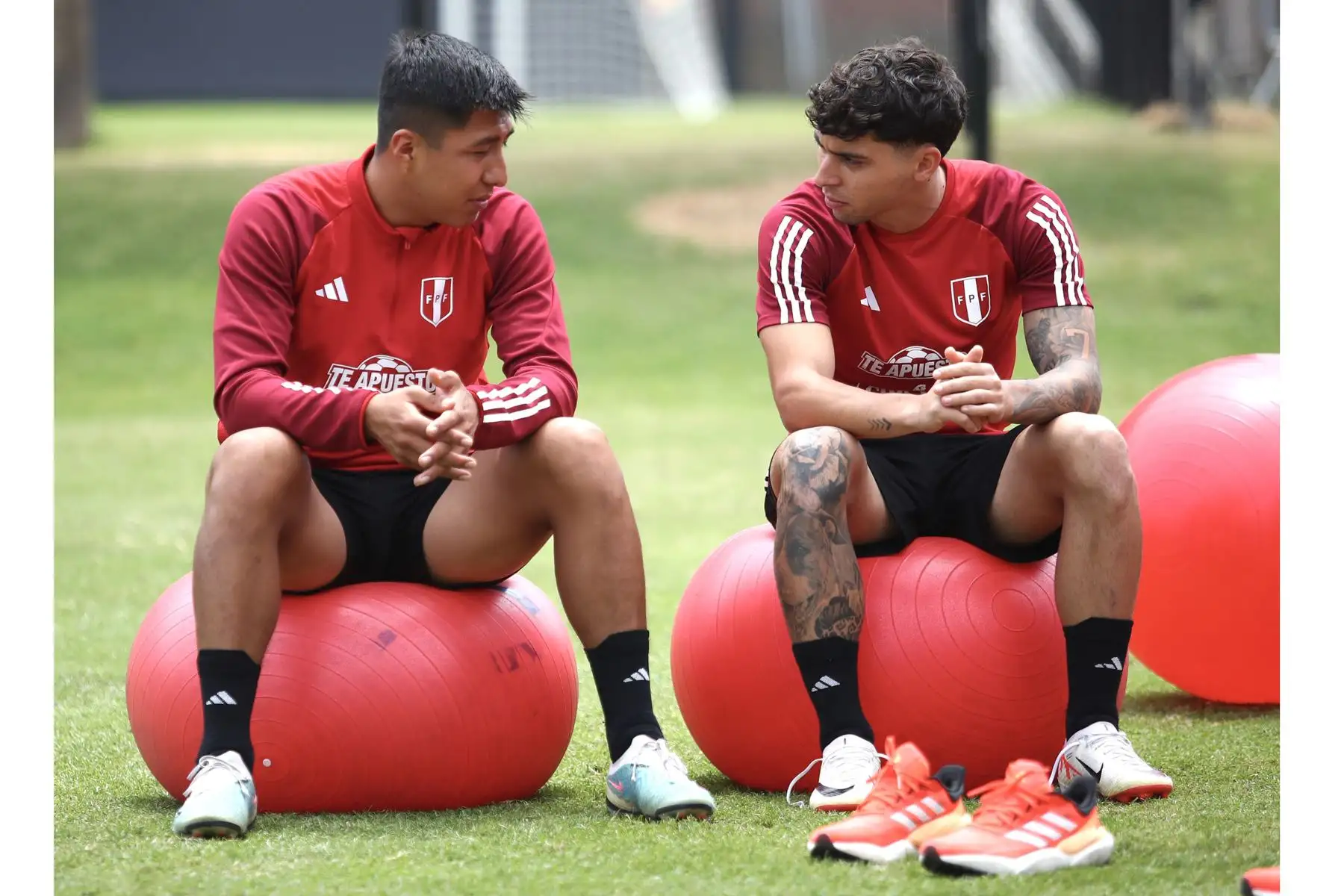 Selección Peruana realiza entrenamientos  con miras a afrontar a Chile, por la fecha tres  de las Eliminatorias al Mundial 2026. En la imagen, Franco Zanelatto.
Foto: FPF