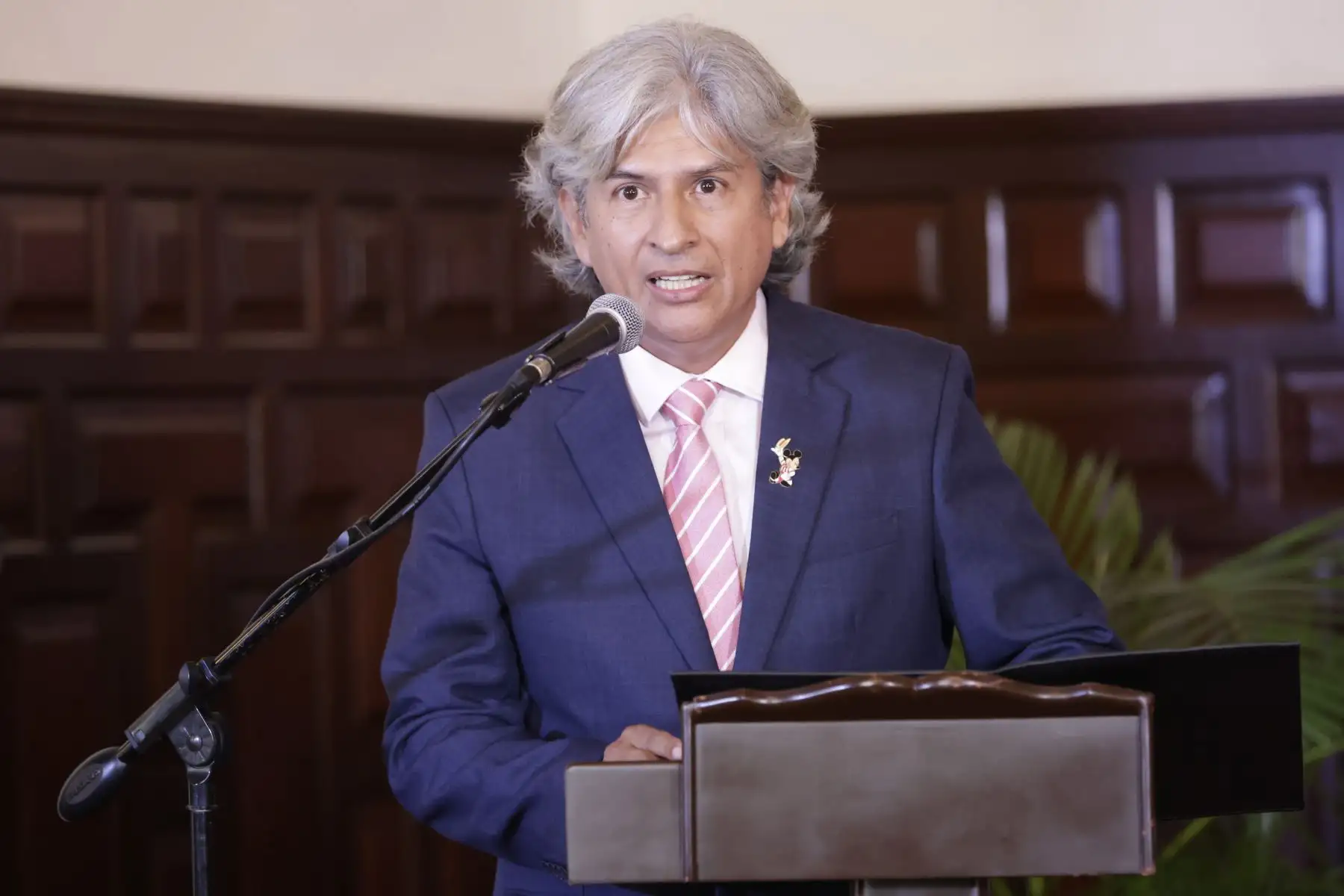 Ceremonia de promulgación de la ley que establece las medidas estratégicas y disposiciones económicas y tributarias para el fortalecimiento y posicionamiento del ecosistema del libro y la lectura. Foto: ANDINA/Prensa Presidencia