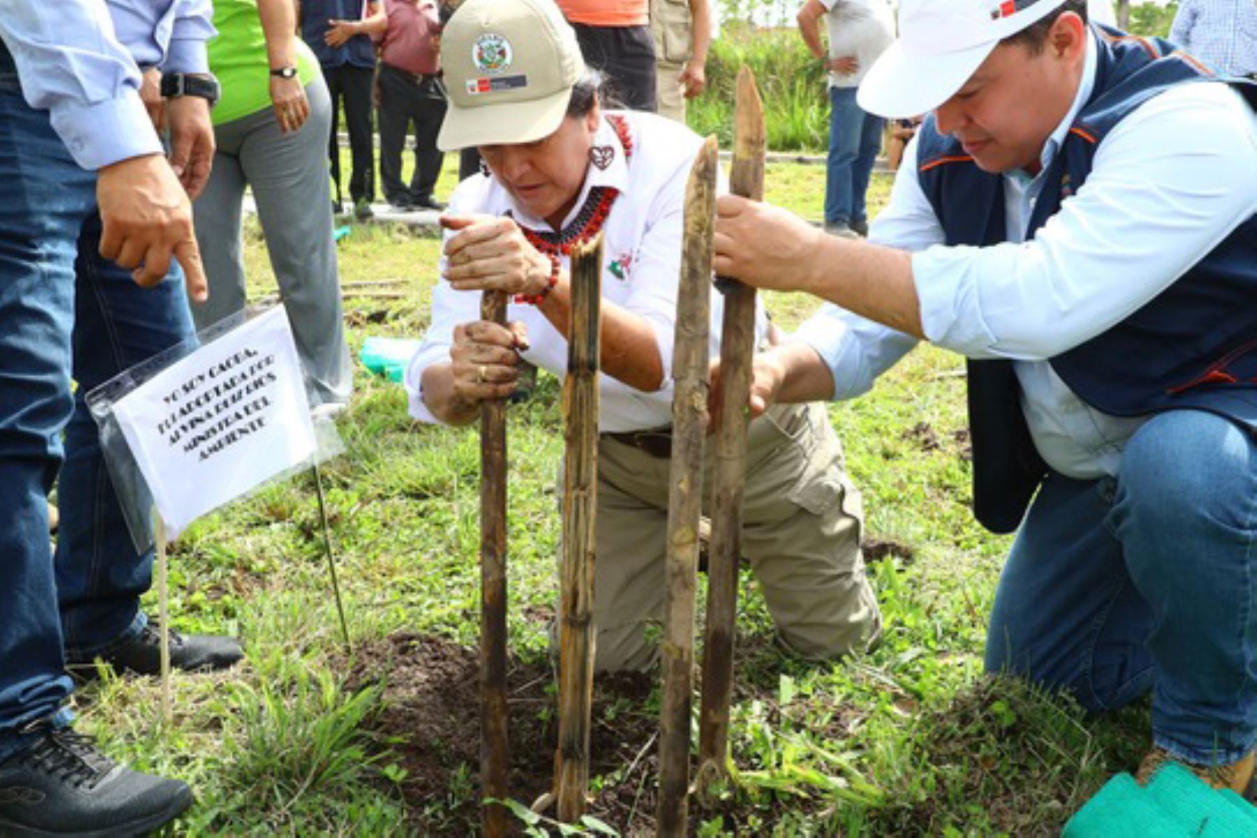 Con la Gran Cruzada Verde se busca contribuir a mitigar los impactos de la crisis climática. Foto: ANDINA/Minam