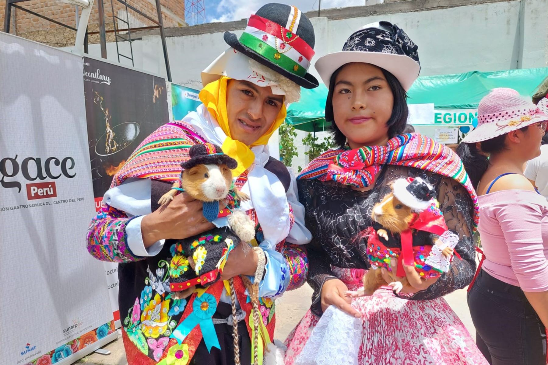 Día Nacional Del Cuy Lucieron Sus Mejores Galas Y Cautivaron A Huancaínos Noticias Agencia 9000