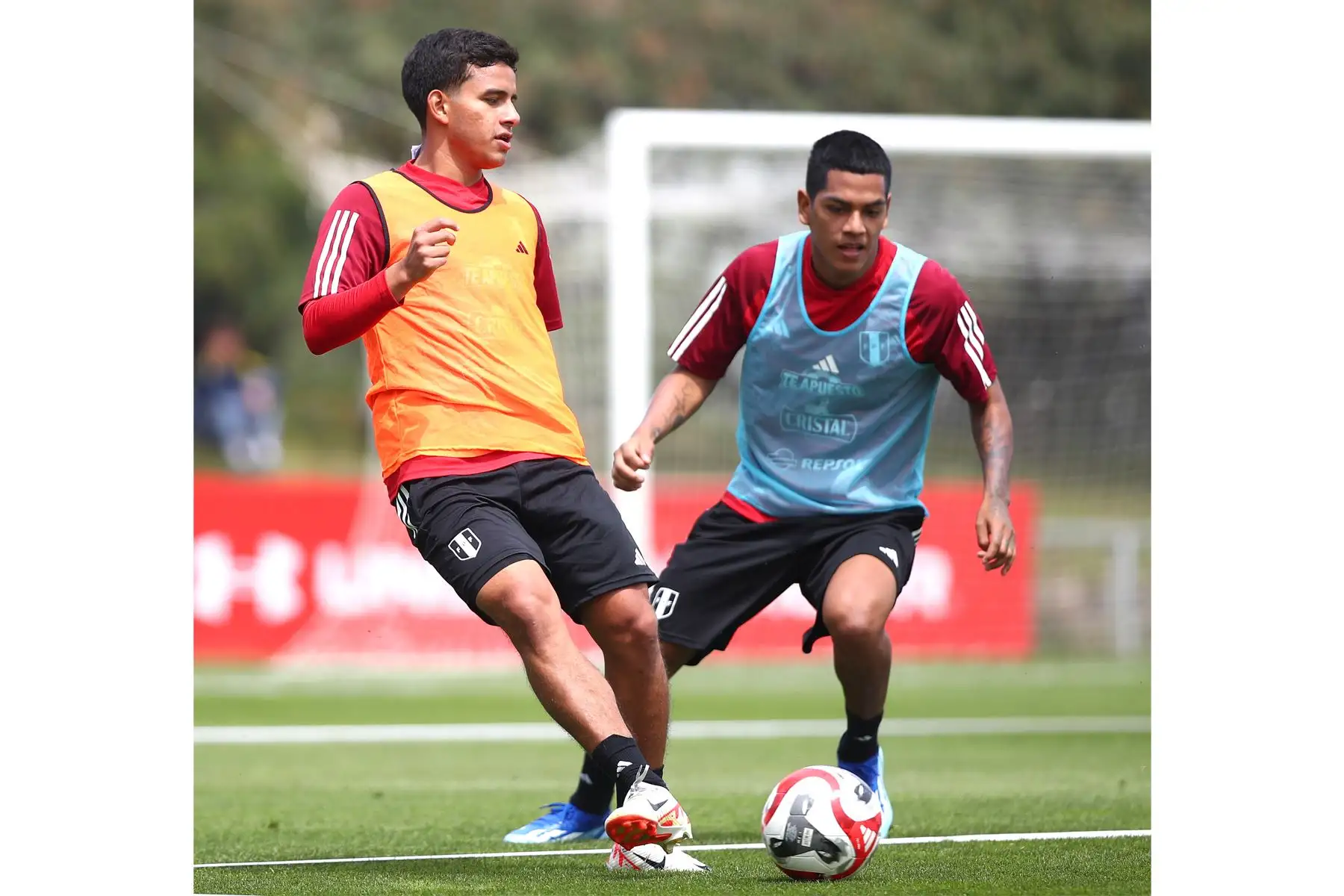Jugadores de la Selección Peruana de Fútbol volvieron a las prácticas en el complejo de entrenamiento de la Universidad Católica de Chile. Se realizaron trabajos regenerativos y tácticos en campo. Foto: FPF