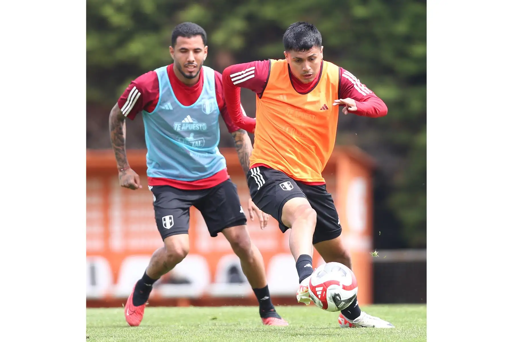 Jugadores de la Selección Peruana de Fútbol volvieron a las prácticas en el complejo de entrenamiento de la Universidad Católica de Chile. Se realizaron trabajos regenerativos y tácticos en campo. Foto: FPF