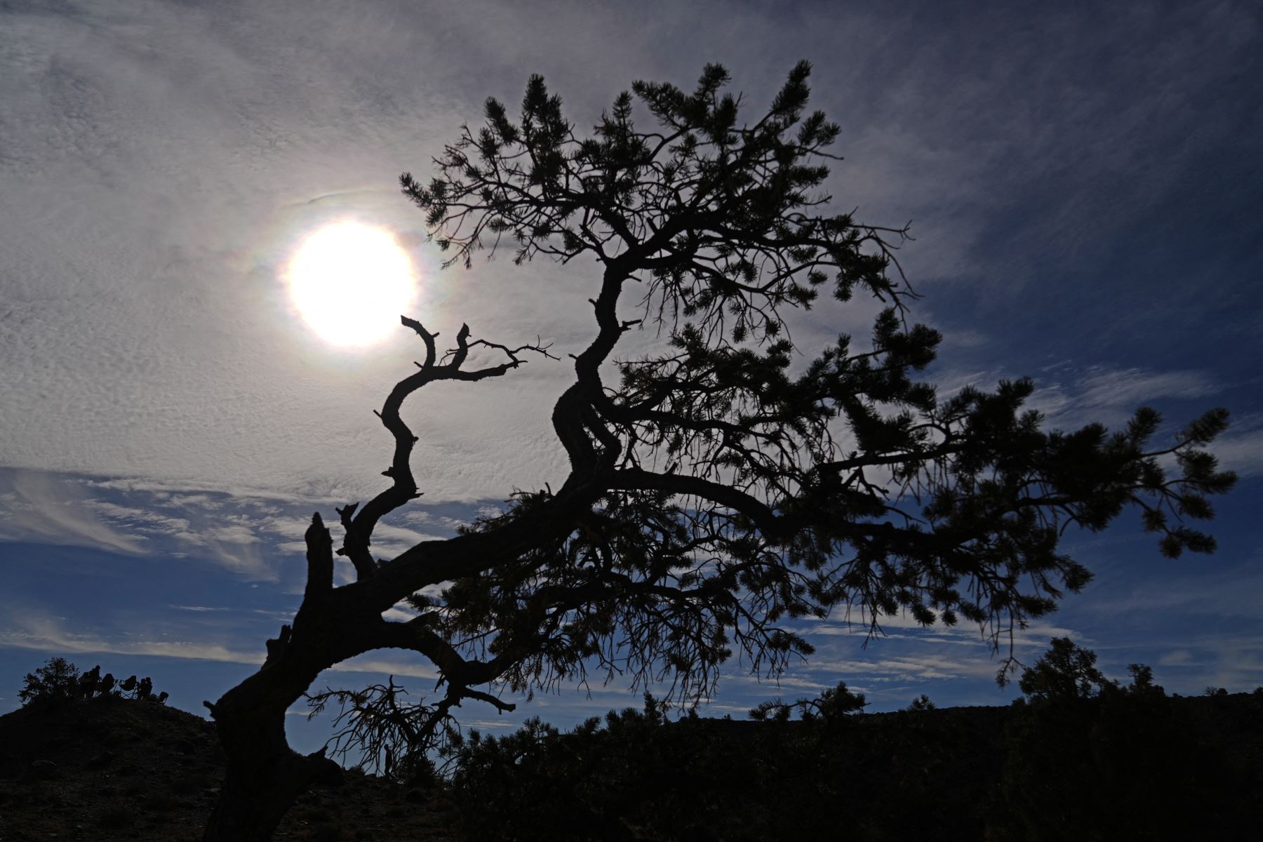 Se recorta la silueta de un árbol contra el eclipse solar anular completamente completado el 14 de octubre de 2023 en el Parque Nacional Capitol Reef, Utah. Comenzando en la costa de Oregón y concluyendo en la costa este de América del Sur, un eclipse solar anular, donde la Luna está más alejada de la Tierra, proyectará un halo de luz solar alrededor del borde de la Luna.
Foto: AFP
