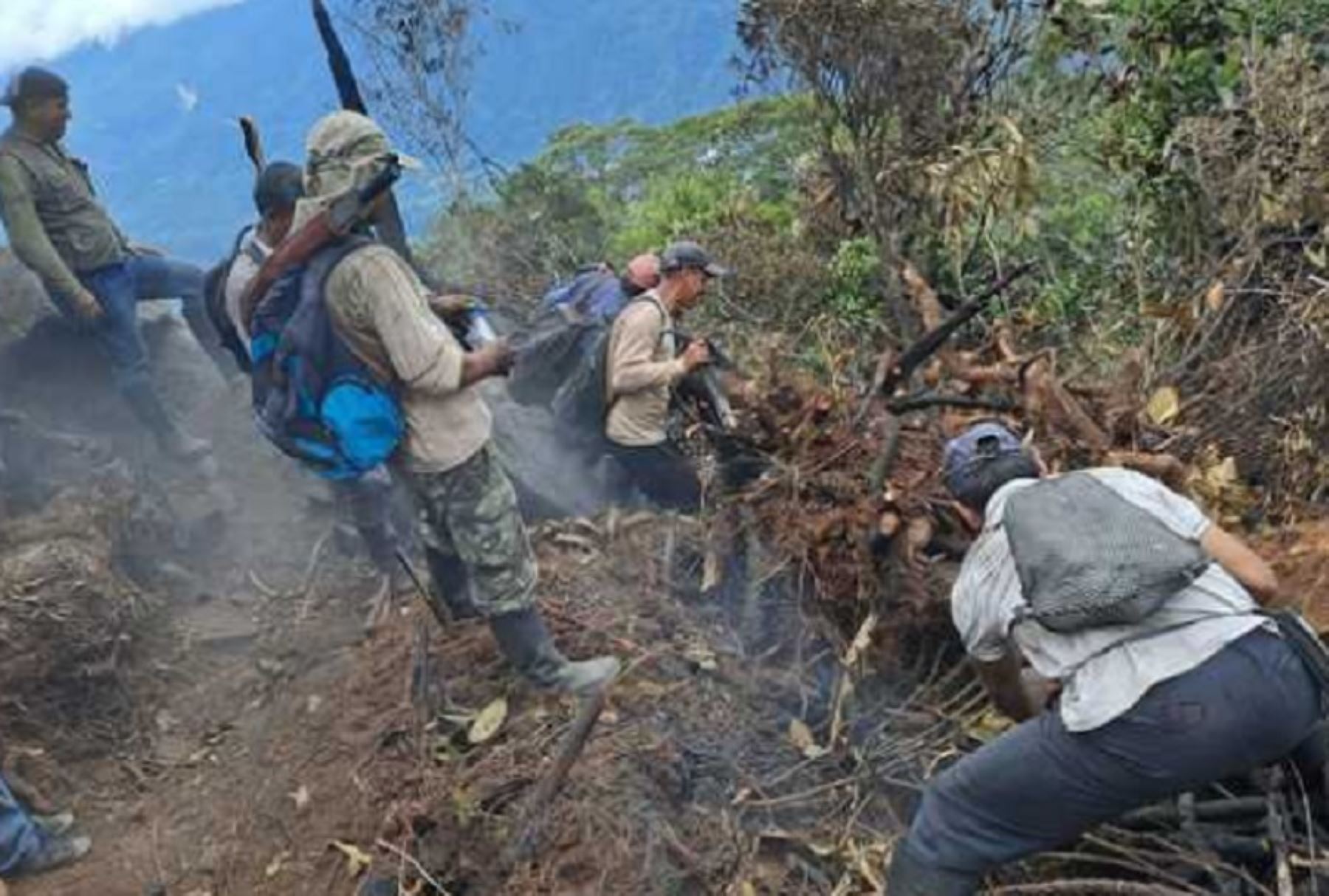 Luego de 48 horas de arduo trabajo, brigadas conformadas por guardaparques del Área de Conservación Regional (ACR) Cordillera Escalera, bomberos, Autoridad Regional Ambiental, comuneros de la zona e integrantes de las asociaciones ecológicos que pertenecen al área de conservación, lograron sofocar el incendio forestal ocurrido en el sector El Mirador, ubicado en el kilómetro 18 de la carretera Tarapoto - Yurimaguas, sector Biodiversidad.