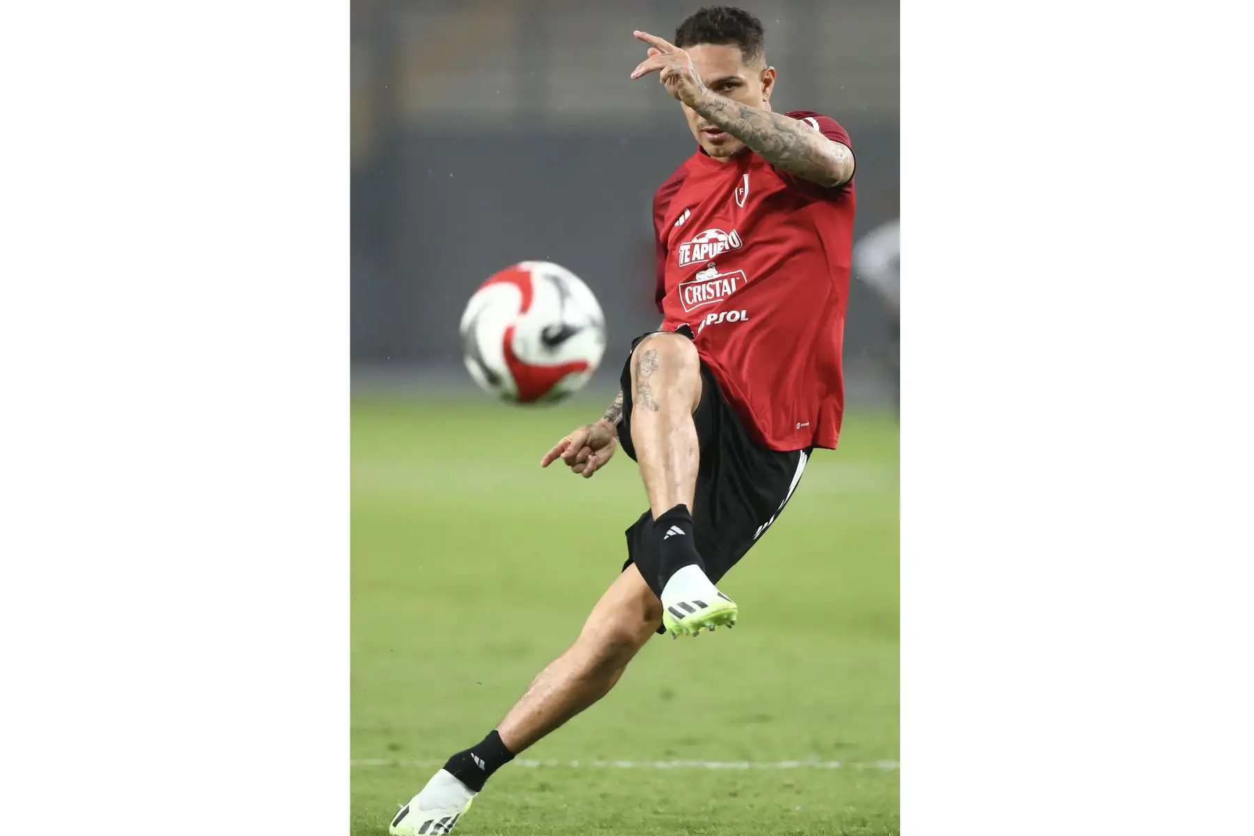 La Selección Peruana realizó  entrenamientos en el  Estadio Nacional con miras a enfrentar al seleccionado de Argentina por las Eliminatorias Sudamericanas.En la imagen, Paolo Guerrero.
Foto: Selección Peruana