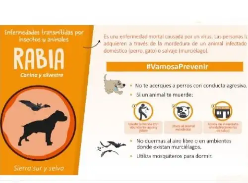 ¿Cómo podemos prevenir la rabia?