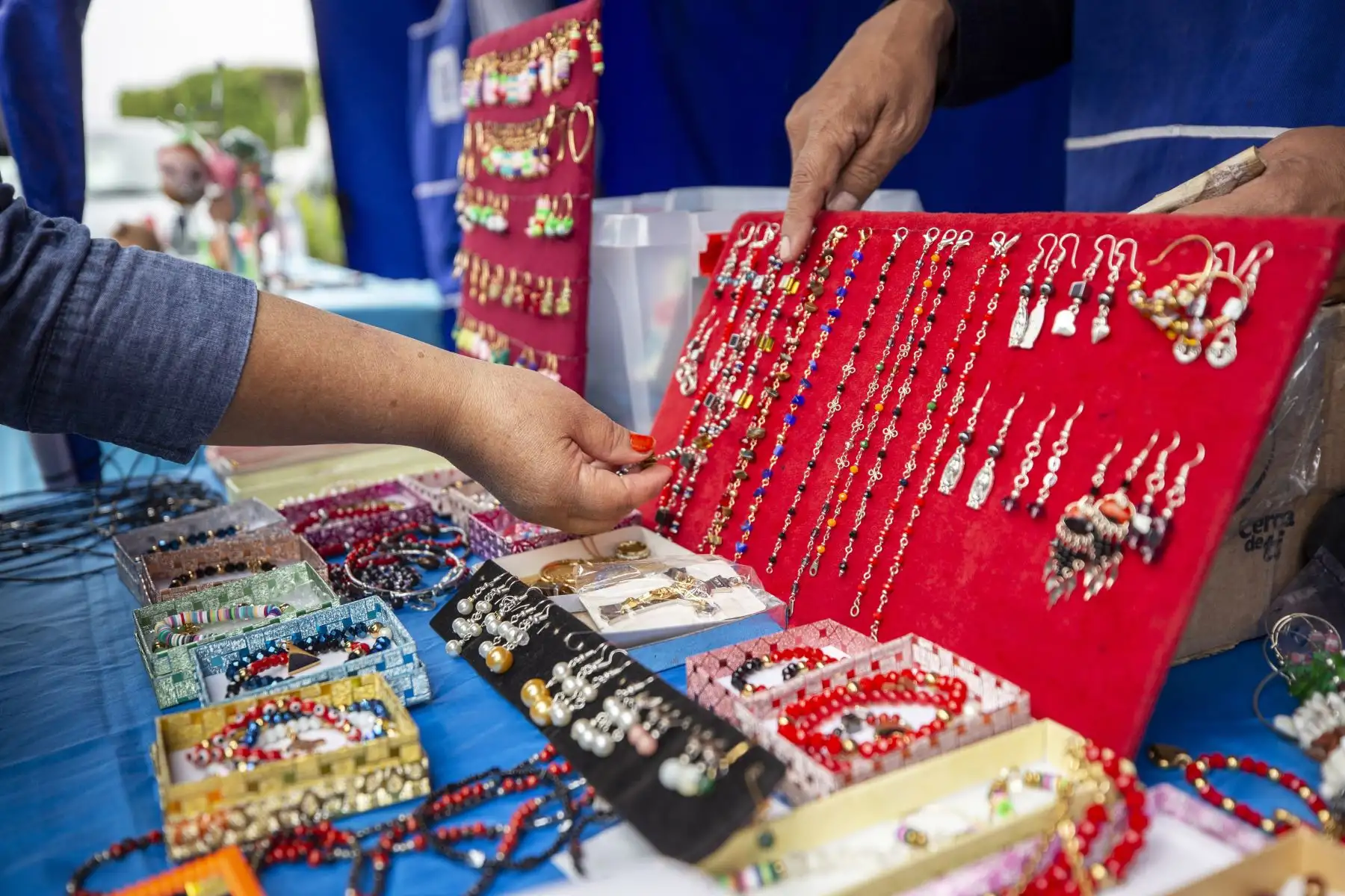 Día Nacional de la Persona con Discapacidad: usuarios de los CERPS EsSalud participan de feria artesanal y gastronómica. Foto: EsSalud