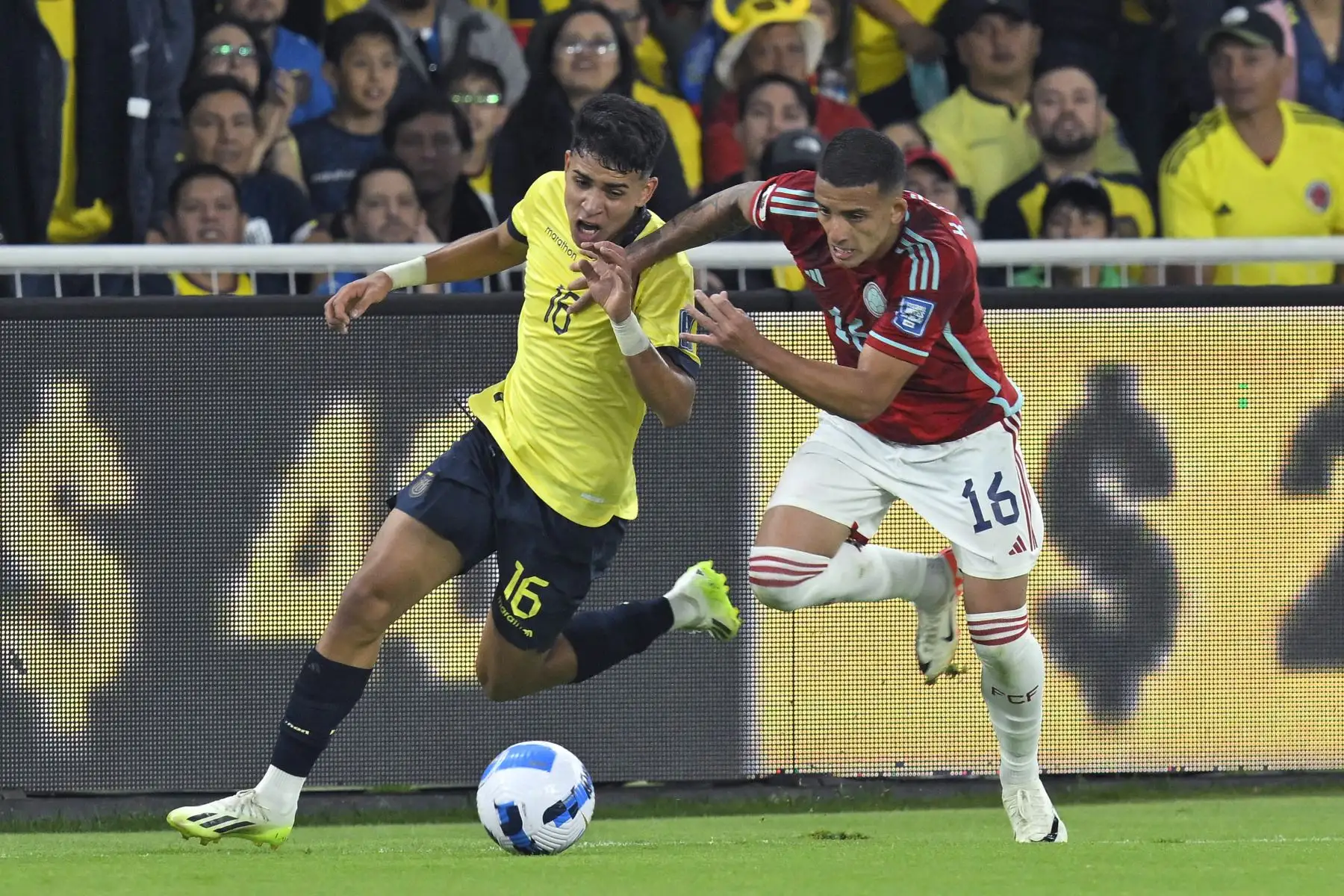 El mediocampista ecuatoriano Kendry Paez  y el mediocampista colombiano Kevin Castaño luchan por el balón durante el partido de fútbol de clasificación sudamericano para la Copa Mundial de la FIFA 2026 entre Ecuador y Colombia en el estadio Rodrigo Paz Delgado de Quito. Foto: ANDINA/AFP