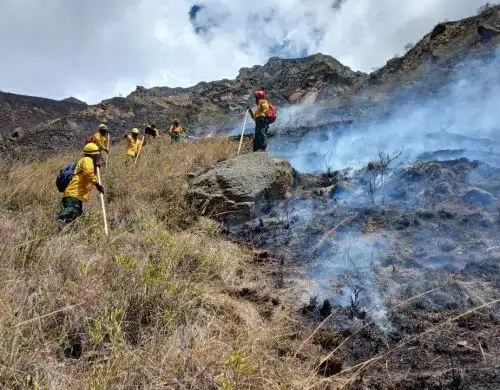 Bomberos forestales de Cusco luchan contra un incendio forestal que se inició ayer en el Camino Inca que conduce a la ciudadela de Machu Picchu, por lo que se dispuso el cierre de esta ruta. ANDINA/Difusión