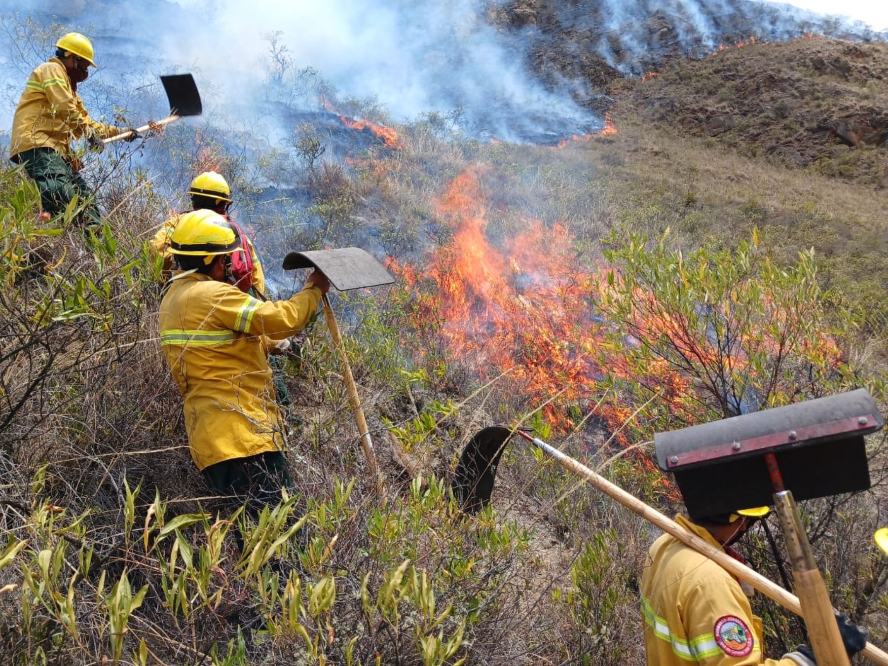 Bomberos forestales y brigadistas lograron controlar el incendio forestal que afectaba la ruta 1 del Camino Inca a Machu Picchu. Foto: ANDINA/difusión.