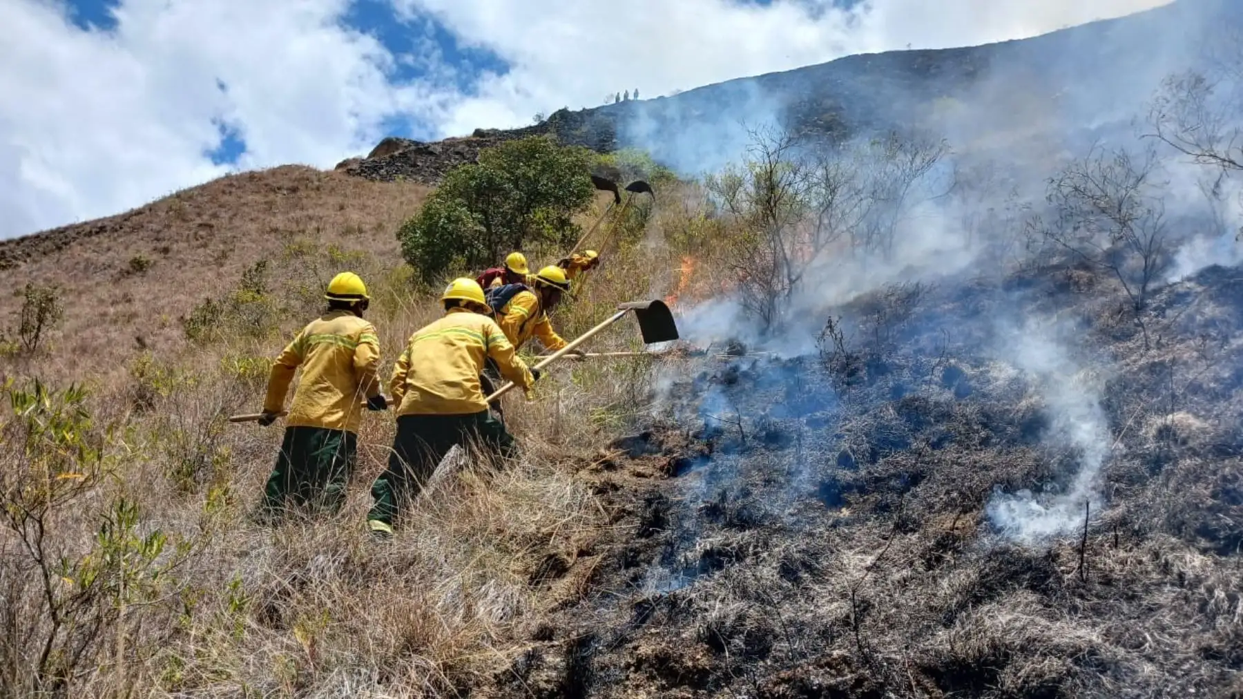 Extinguen cuatro incendios forestales en tres regiones y en la provincia de Huarochirí