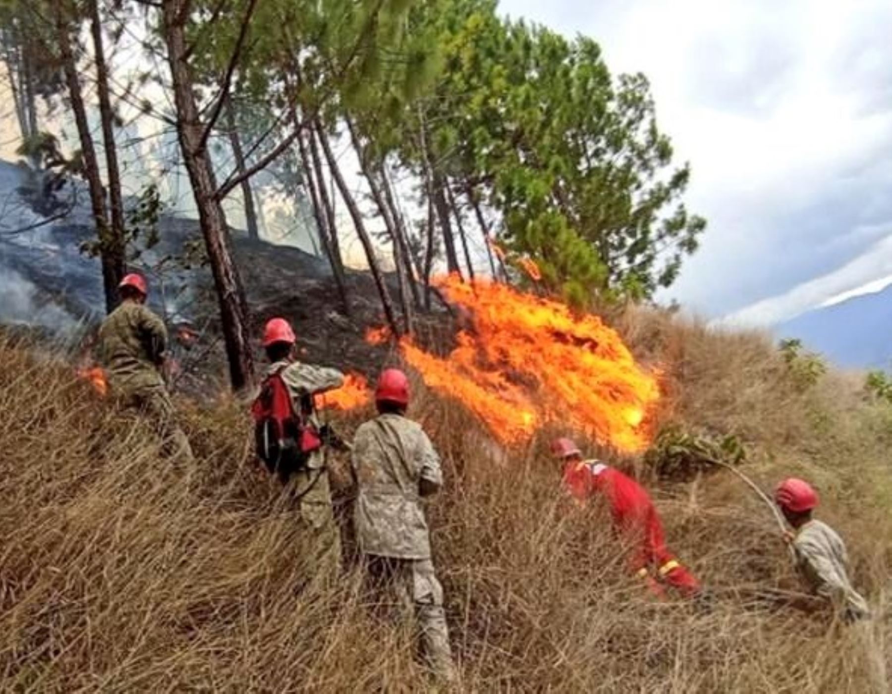 Brigadas del Ejército del Perú participan en lucha para sofocar un incendio forestal en el distrito de Santa Ana, provincia cusqueña de La Convención, en el ámbito del Vraem. Foto: ANDINA/difusión.