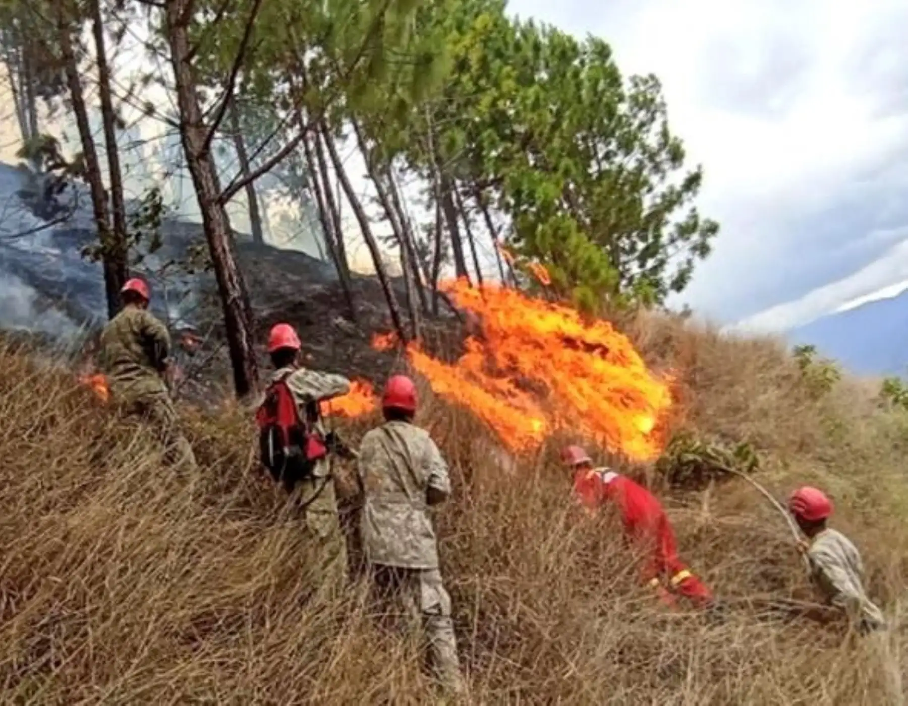 Incendio forestal. Foto: ANDINA/Archivo