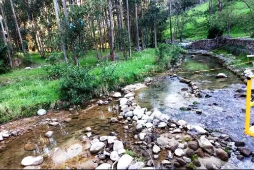 ANDINA/Difusión