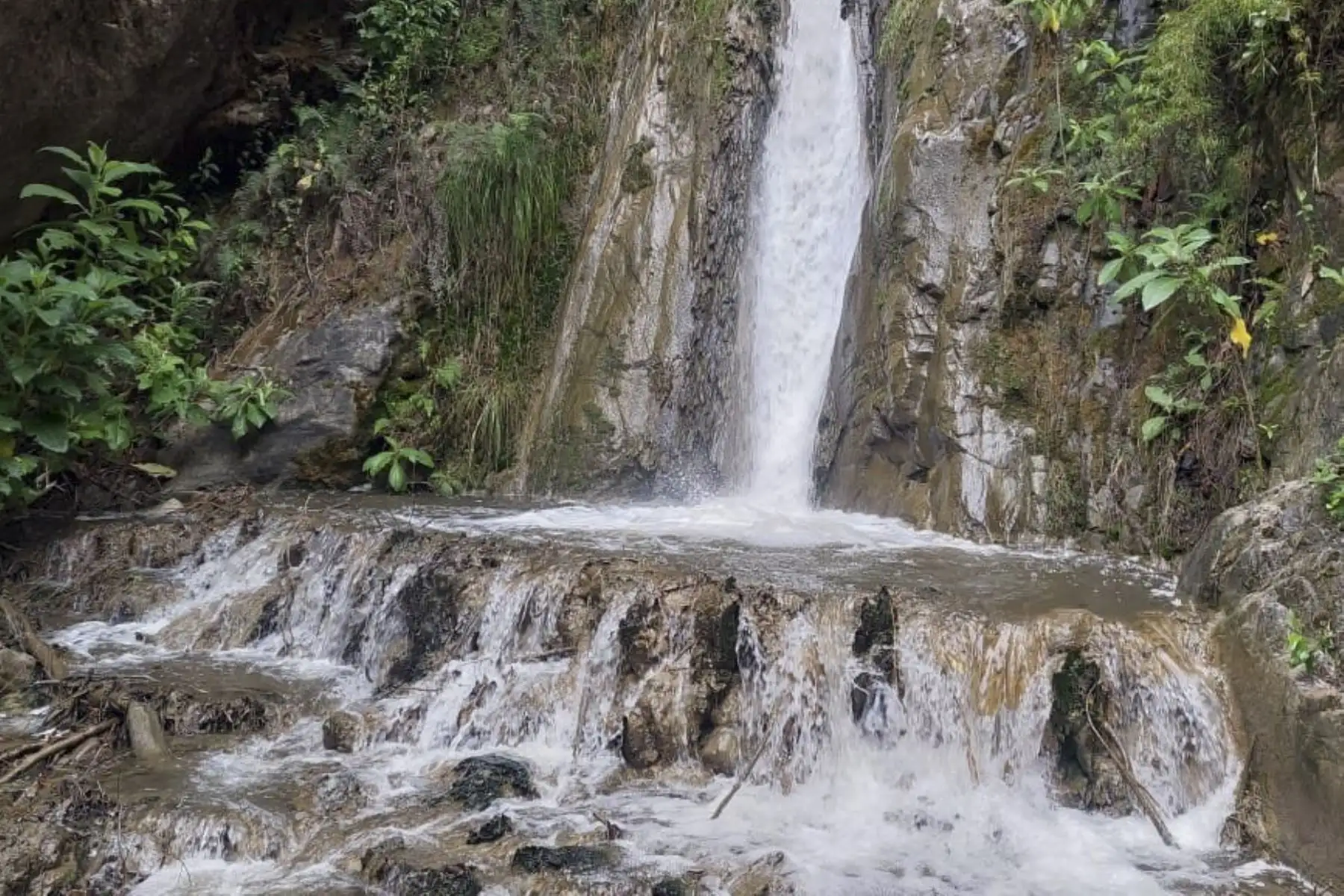 La región Junín ofrece un nuevo circuito turístico en el que el centro es la naturaleza. Foto: ANDINA/Cortesía Pedro Tinoco