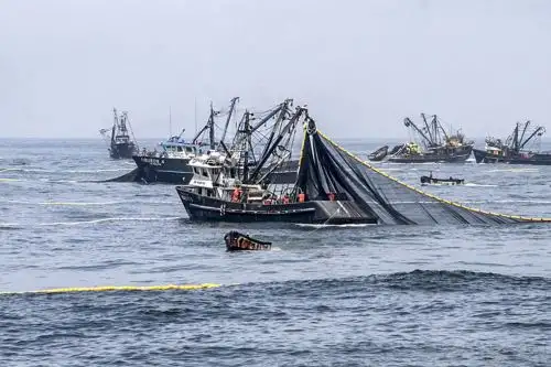 Pesca en el mar peruano. ANDINA/Difusión