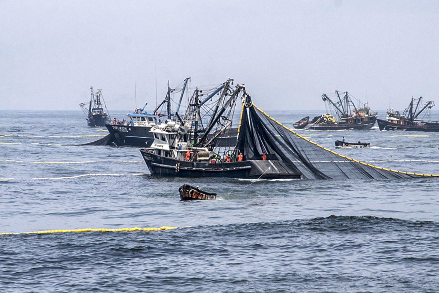 El Fenómeno DE La Niña favorecerá a la pesca peruana. Foto: ANDINA/difusión.