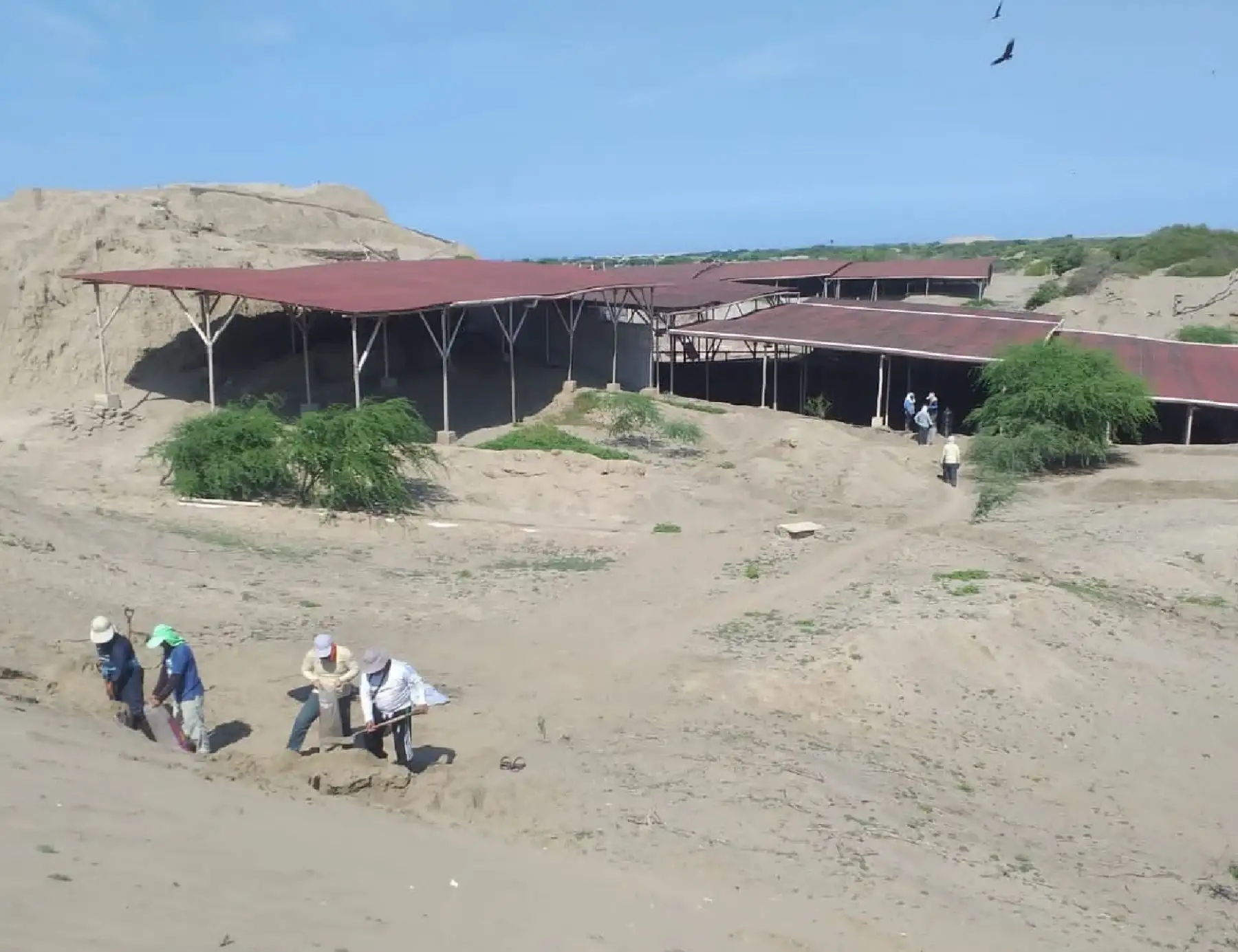 Lambayeque sella el sitio arqueológico Collud, que alberga uno de los centros ceremoniales más antiguos de Perú, para salvaguardar el patrimonio cultural ante psoibles lluvias intensas a causa del Fenómeno El Niño. ANDINA/Difusión