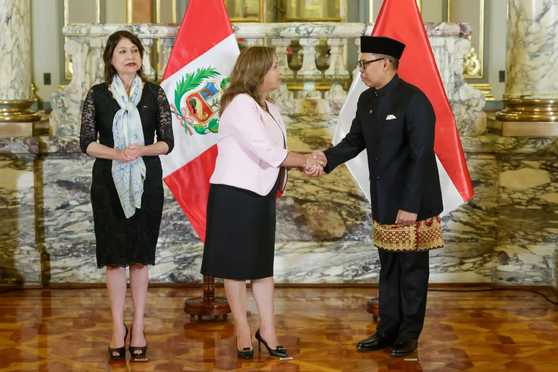 Presidenta Dina Boluarte presidió ceremonia de presentación de cartas credenciales de embajadores residentes de Países Bajos, Austria, Brasil, Indonesia y Japón. Foto: ANDINA/ Prensa Presidencia
