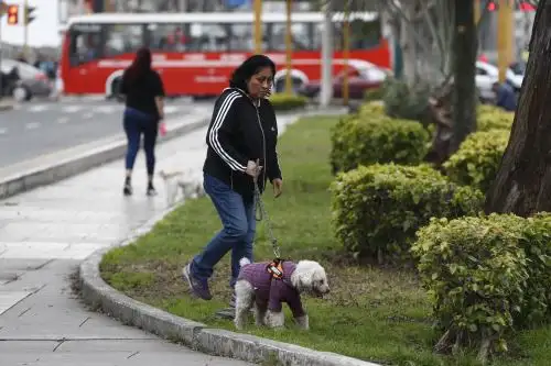Foto-noticia