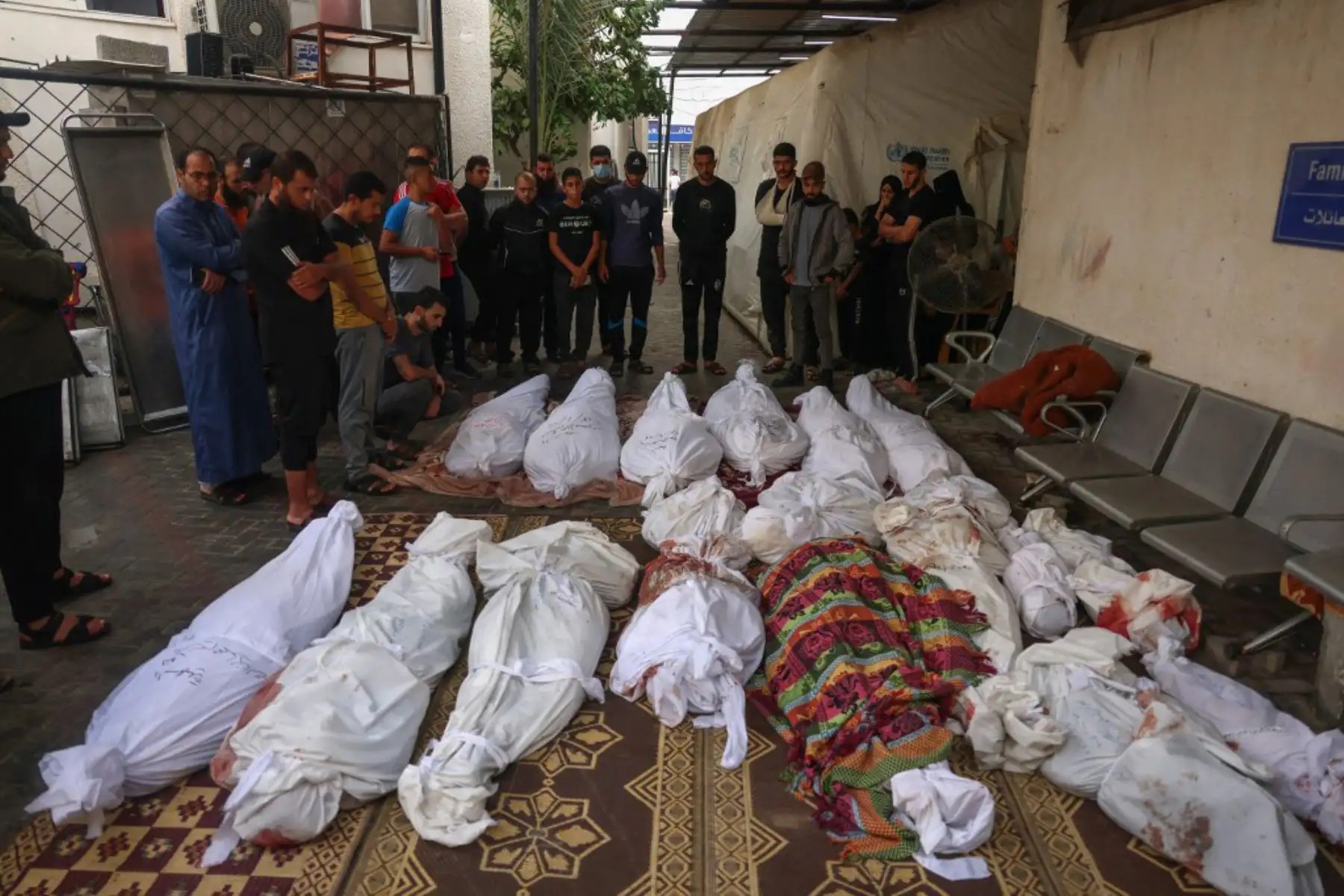 Cuerpos de las víctimas palestinas muertas durante los bombardeos israelíes, antes de sus funerales frente a la morgue del Hospital Nasser en Khan Yunis, en el sur de la Franja de Gaza. Foto: AFP
