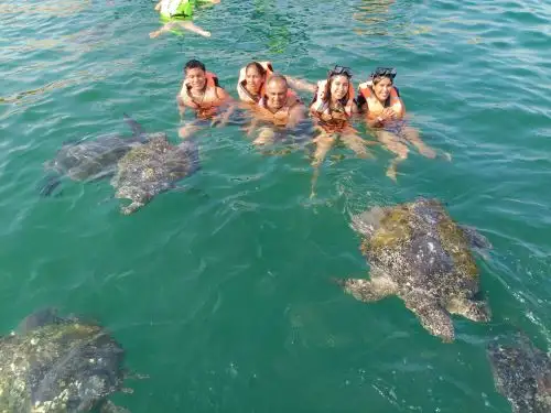 El turismo de observación y nado con tortugas marinas es uno de los principales atractivos que ofrece el distrito de Canoas de Punta Sal, en Tumbes. ANDINA/Difusión