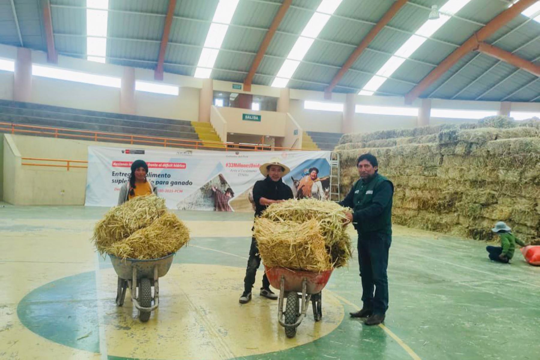 En total, se entregó 461.280 kg de heno de avena y 94.120 kg de afrecho a los pequeños productores criadores de camélidos sudamericanos, ovinos y vacunos del distrito y provincia de Caylloma. Foto: ANDINA/Agro Rural