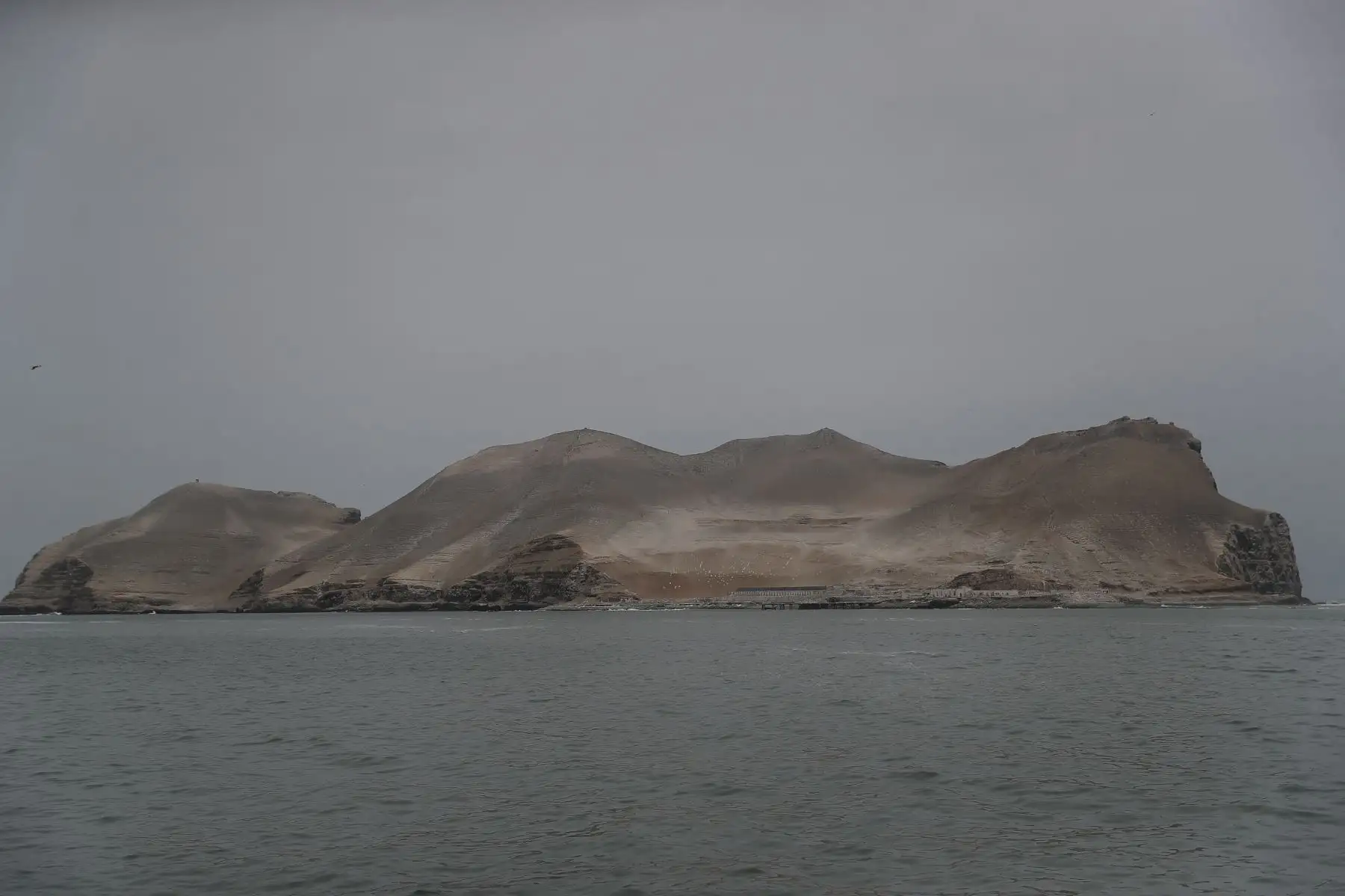 Reserva nacional de islas, islotes y punta guanera, se establece como área natural protegida en el 2009 y la isla Cavinzas e islotes palomino se pueden ver pinguinos, lobos marinos y aves guaneras.  
 Foto: ANDINA/Ricardo Cuba