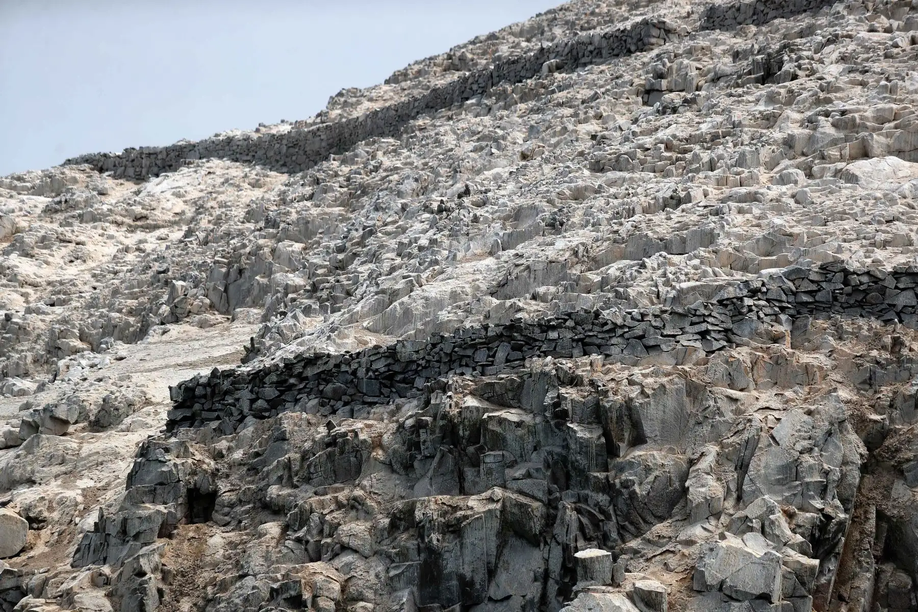Reserva nacional de islas, islotes y punta guanera, se establece como área natural protegida en el 2009 y la isla Cavinzas e islotes palomino se pueden ver pinguinos, lobos marinos y aves guaneras.  
 Foto: ANDINA/Ricardo Cuba