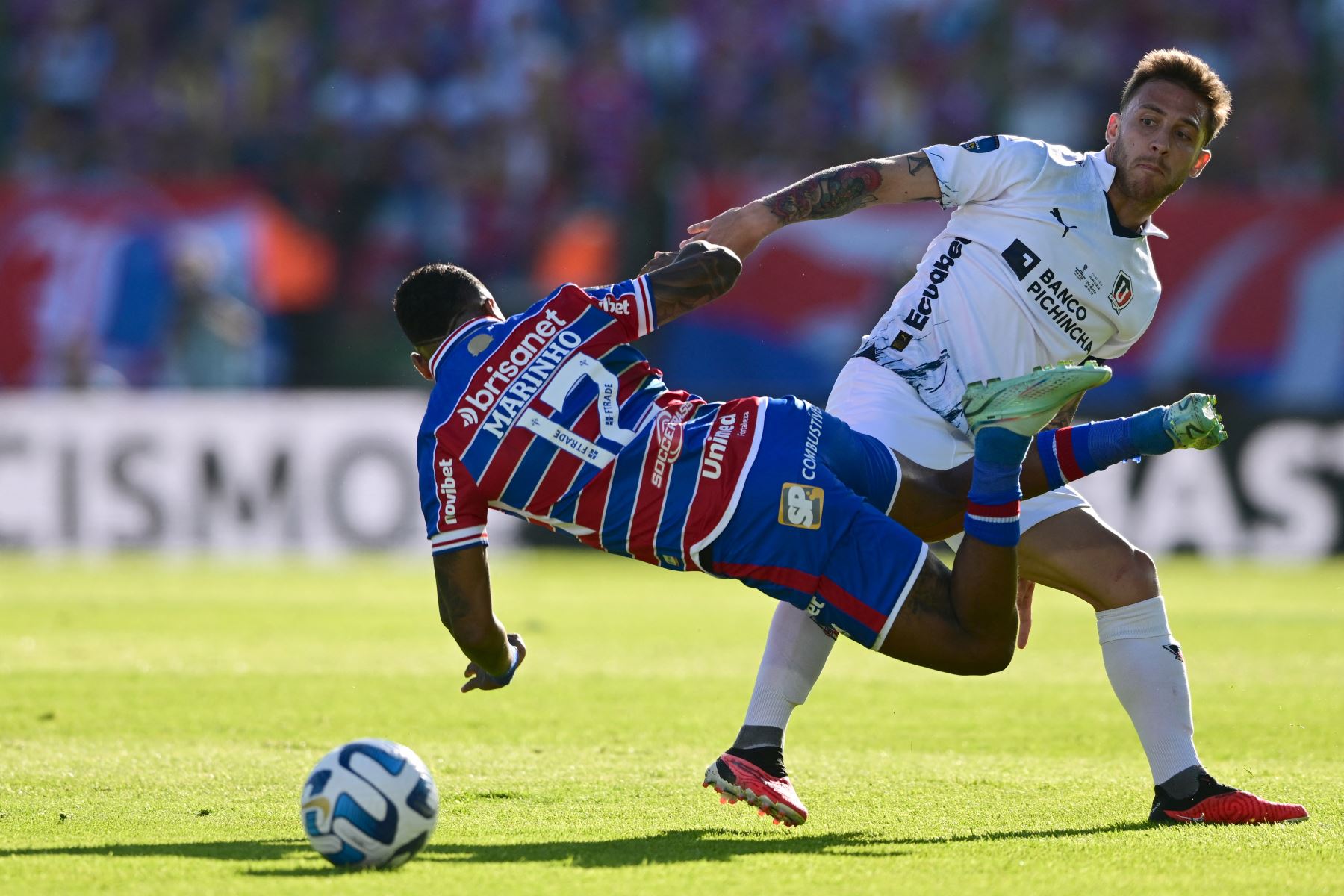 El mediocampista de Fortaleza Ze Welison  y el mediocampista argentino de la Liga de Quito Ezequiel Piovi luchan por el balón durante el partido final del torneo de fútbol Copa Sudamericana entre Fortaleza de Brasil y Liga de Quito de Ecuador en el estadio Domingo Burgueño Miguel en Maldonado, Uruguay.
Foto: AFP